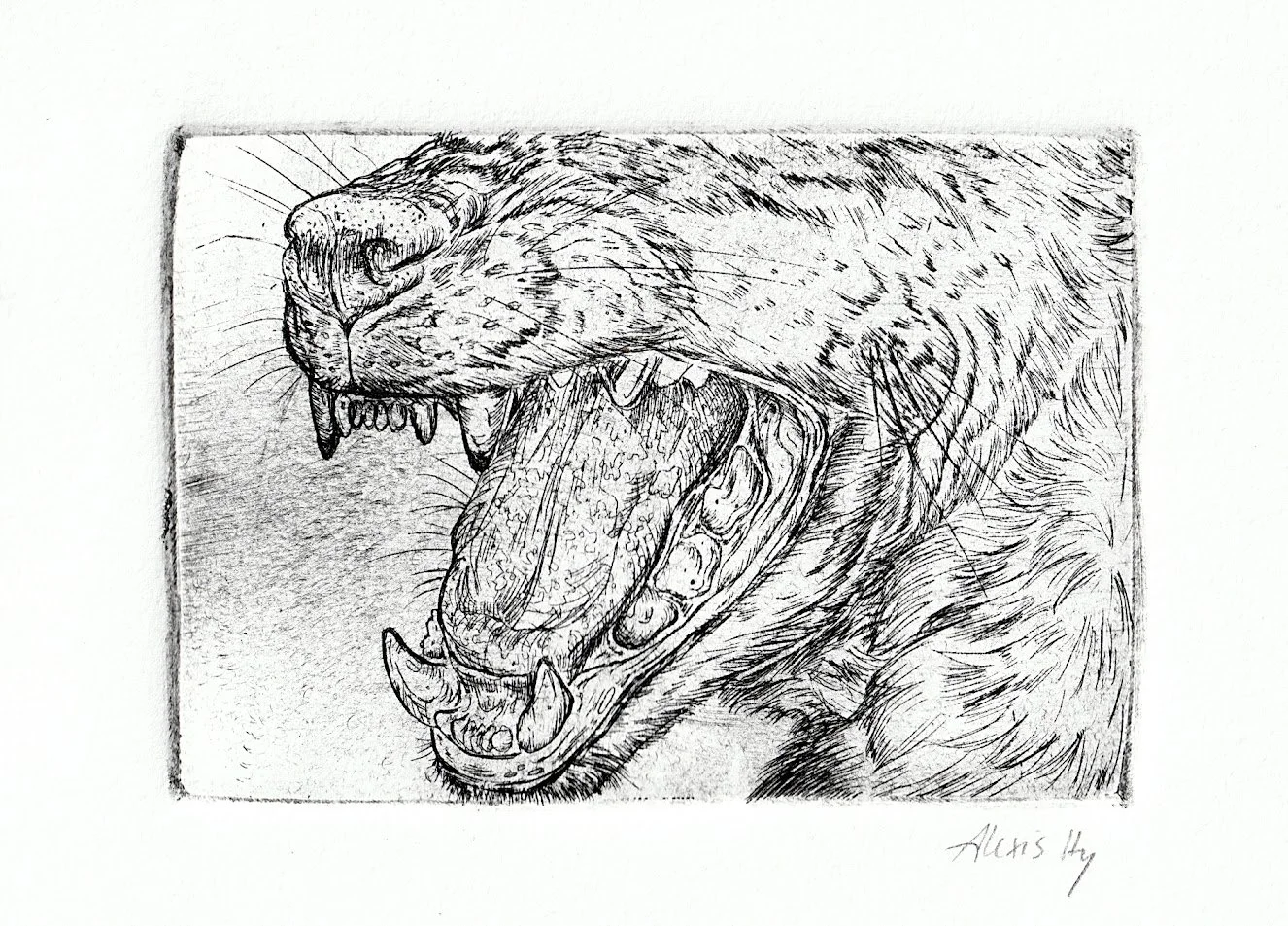 "I Bite"
