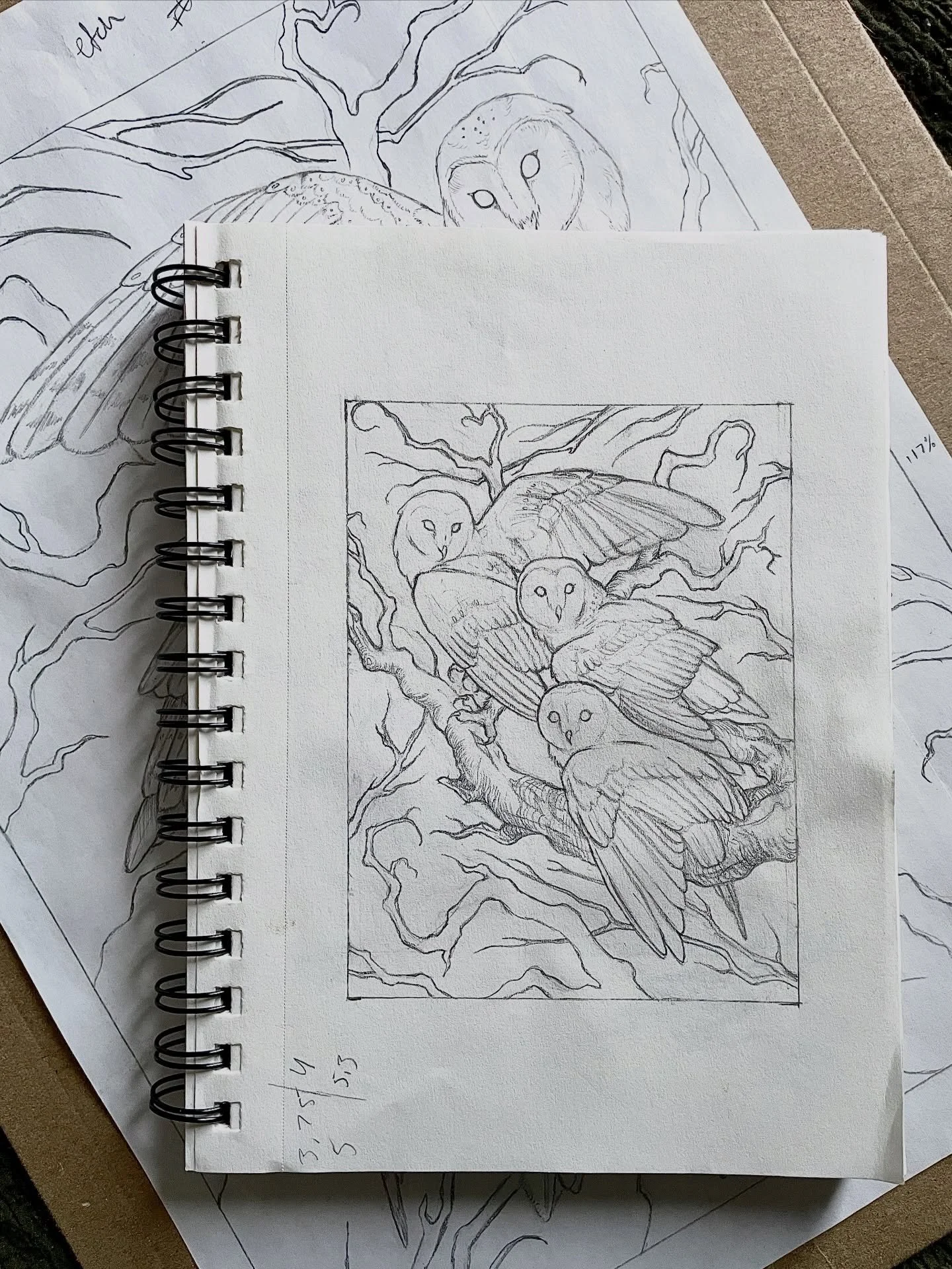 I&rsquo;ve been working on this design for a new etching for a while. I kept redrawing the owls using different references and positions until I got them exactly how I wanted them, and then made up the branches to fit the scene in my head. 
For some 