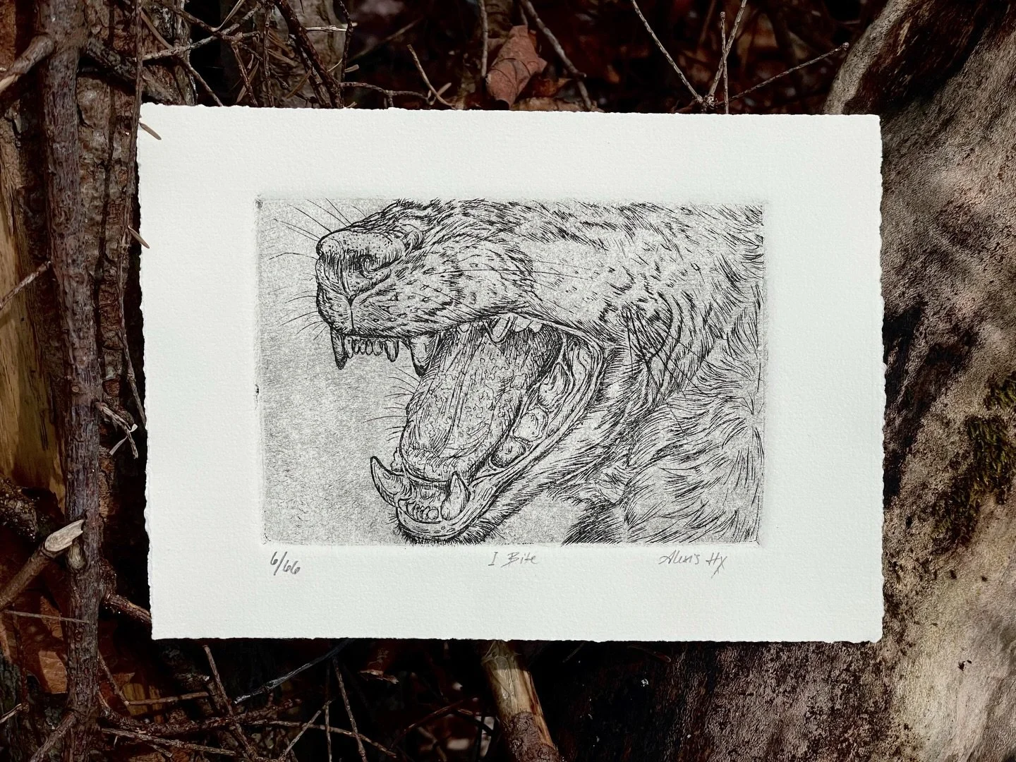&ldquo;I Bite&rdquo; - The open mouth of a female Spotted Hyena. The sentiment behind this print is connected to the Spotted Hyenas&rsquo; matriarchal social system, and especially, their reproductive biology and behavior. 

Edition of 66.

#etching 