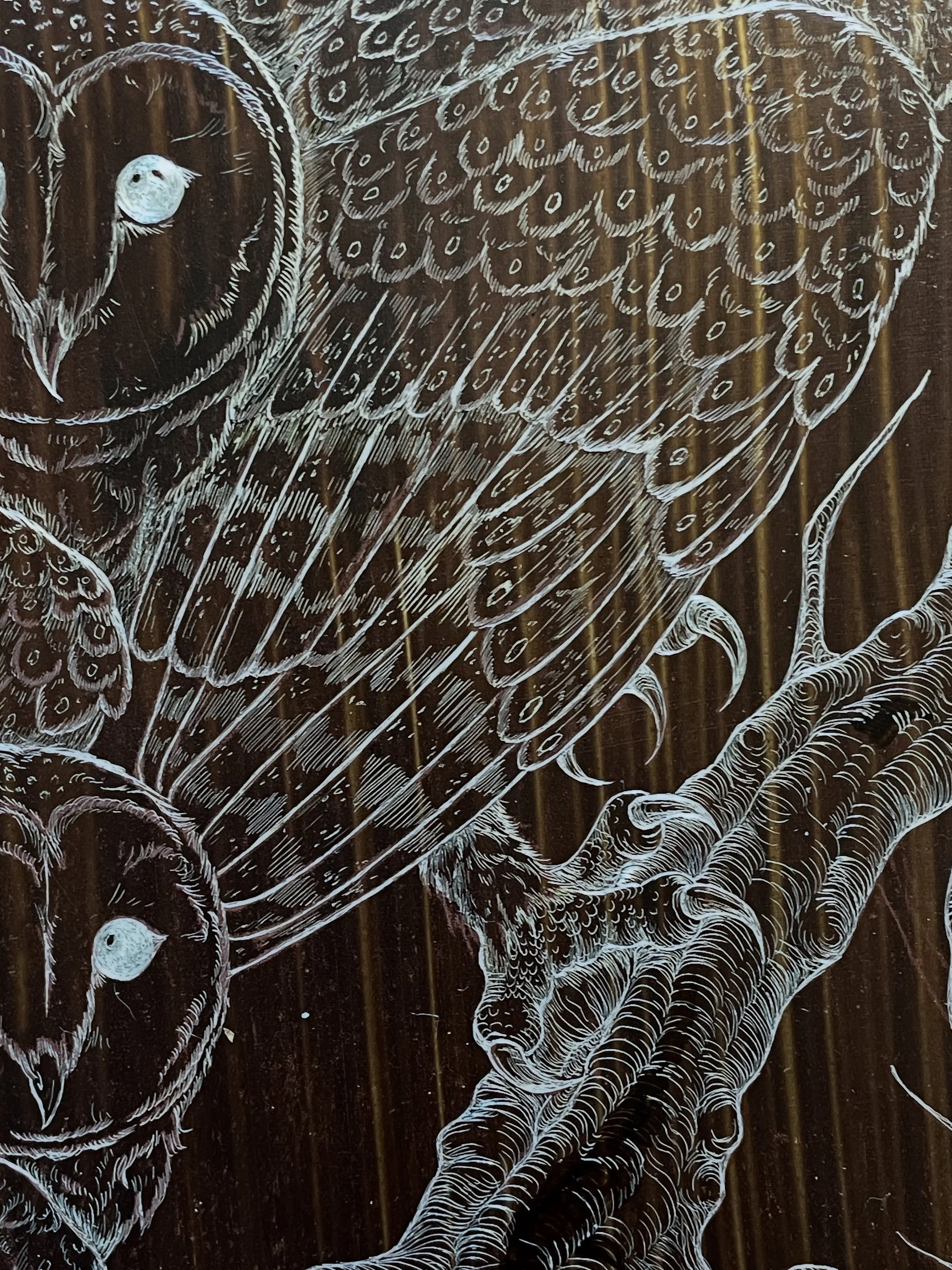 Closeups and progress pics of my barn owl etching. Finally &ldquo;finished&rdquo; and I&rsquo;m really excited with how it turned out! Though of course now that the plate has been through the acid, my brain keeps thinking of a million more lines i co