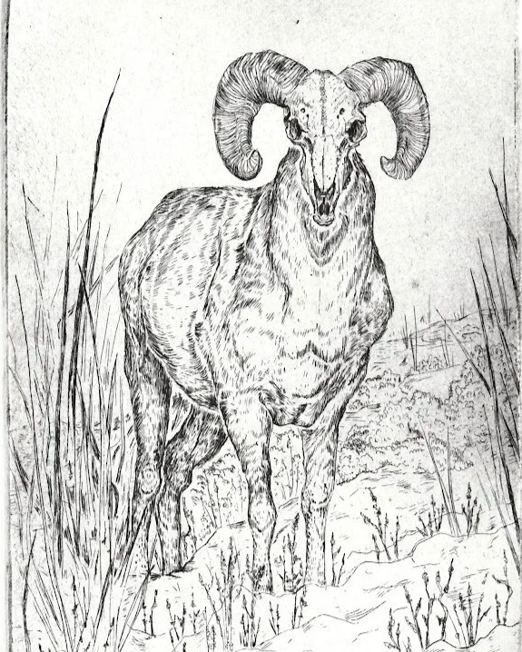Etchings