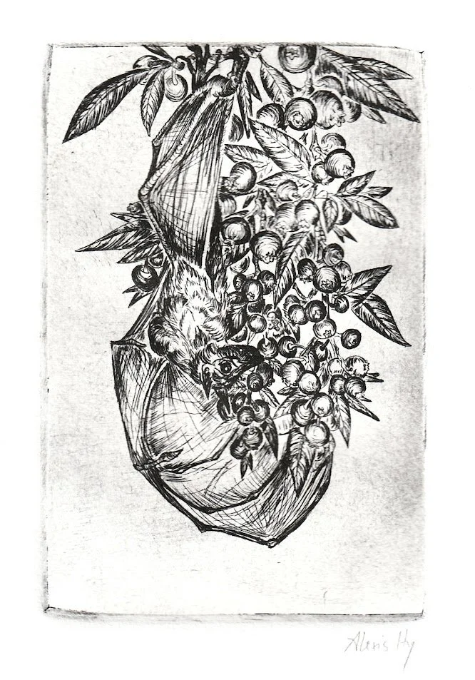 "Bat and Blueberries"