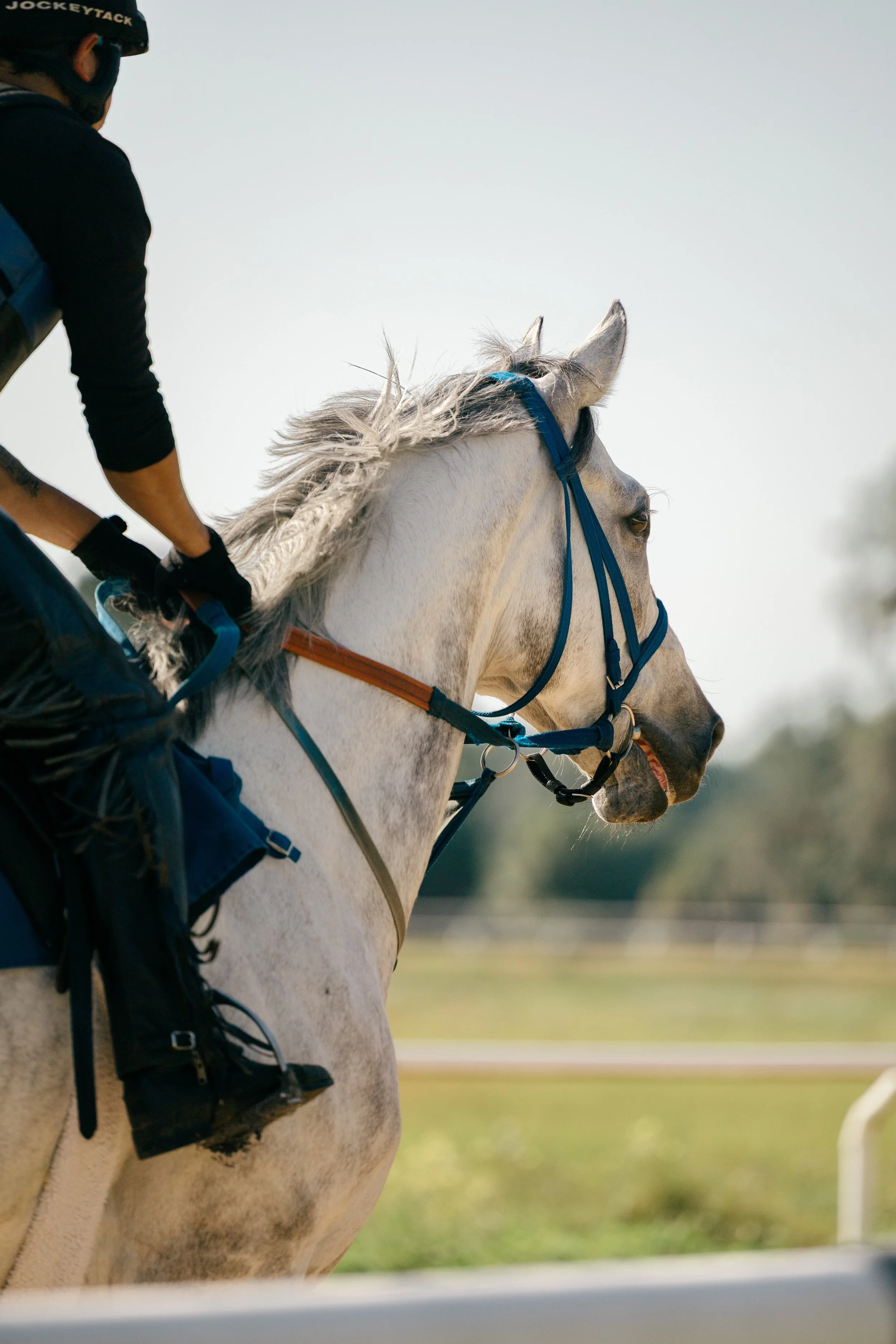A person riding a white horse on a racetrack during daytime, with a background of greenery and a clear sky.