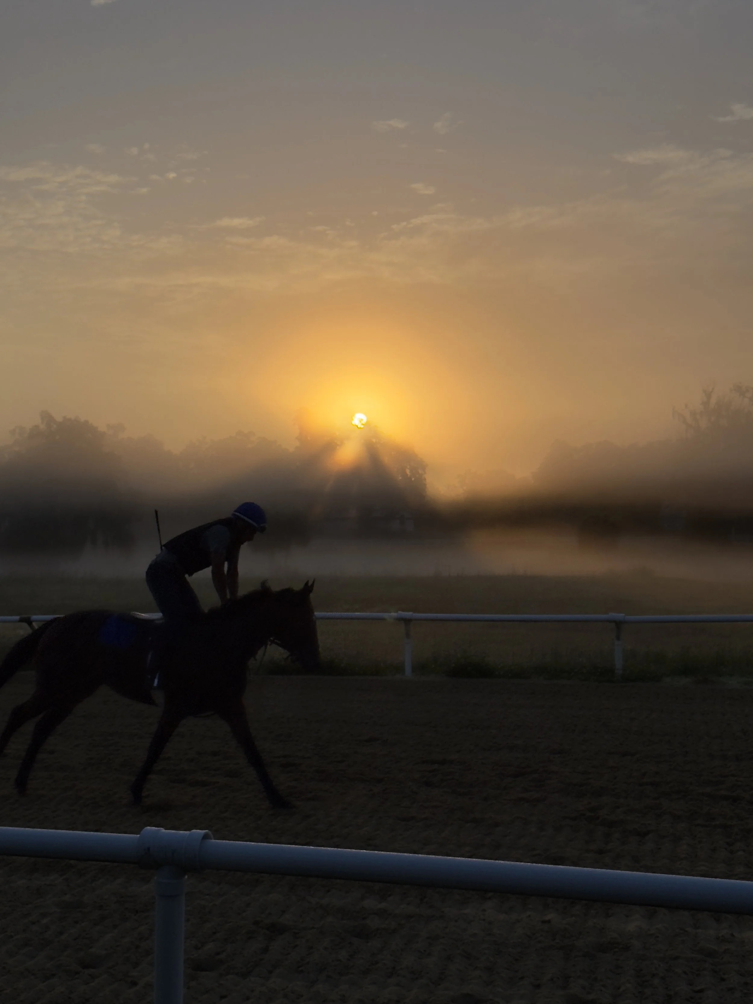 Jockey riding a horse during a sunrise or sunset at a race track.