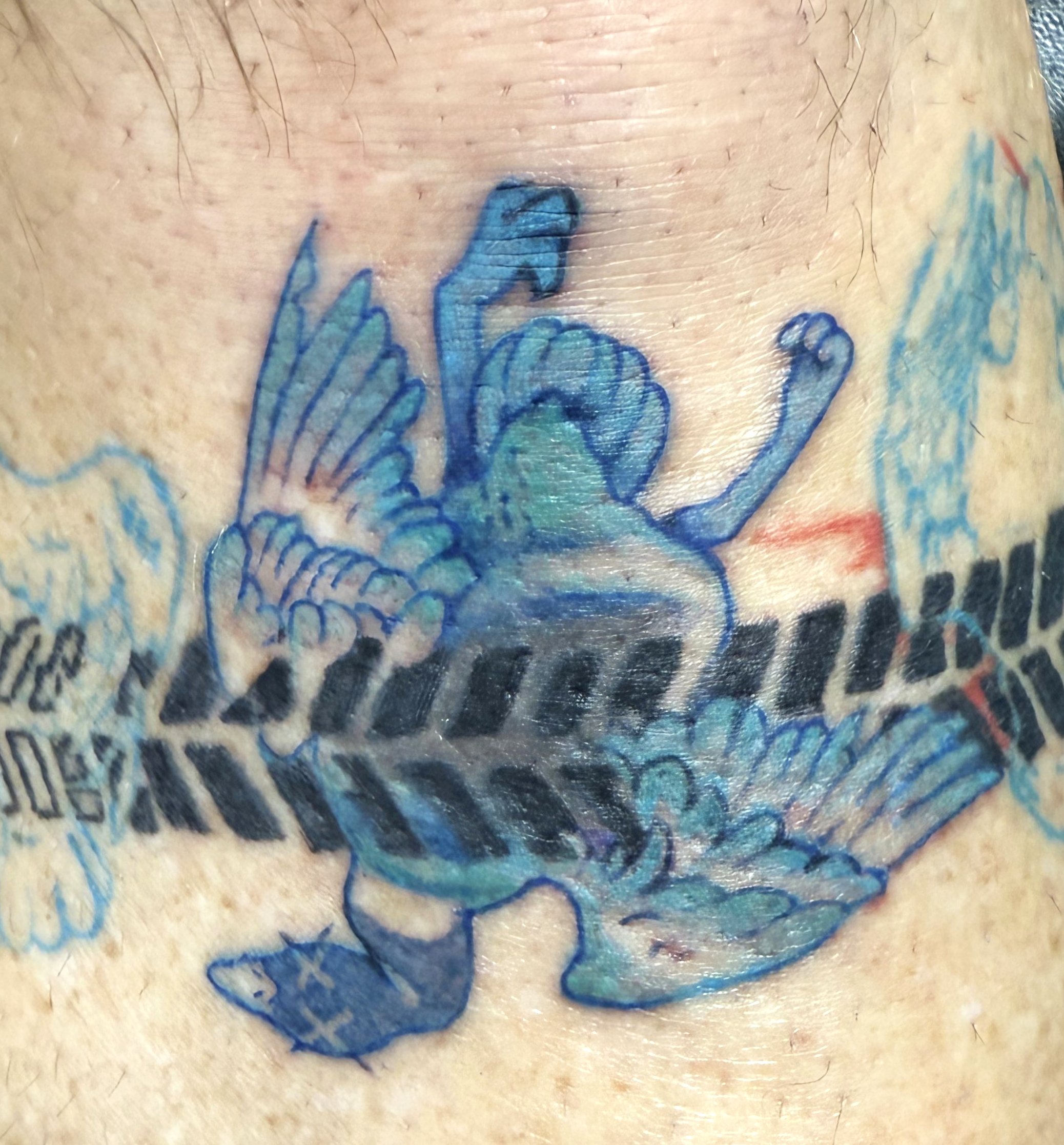 goode progress 2.jpg