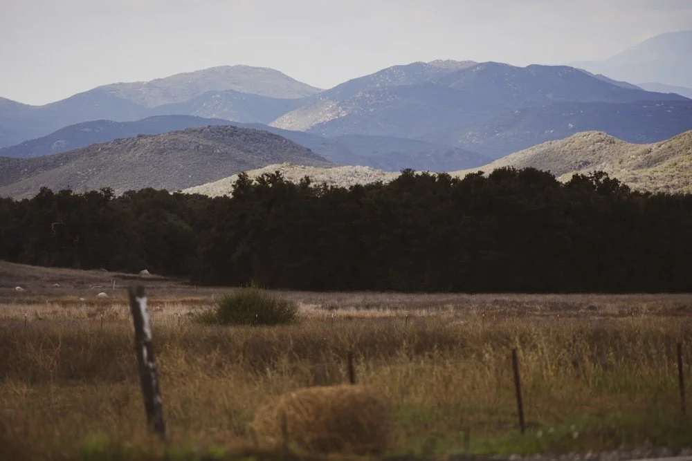 20231129-1205-California Trip-WEBSITE-30.jpg