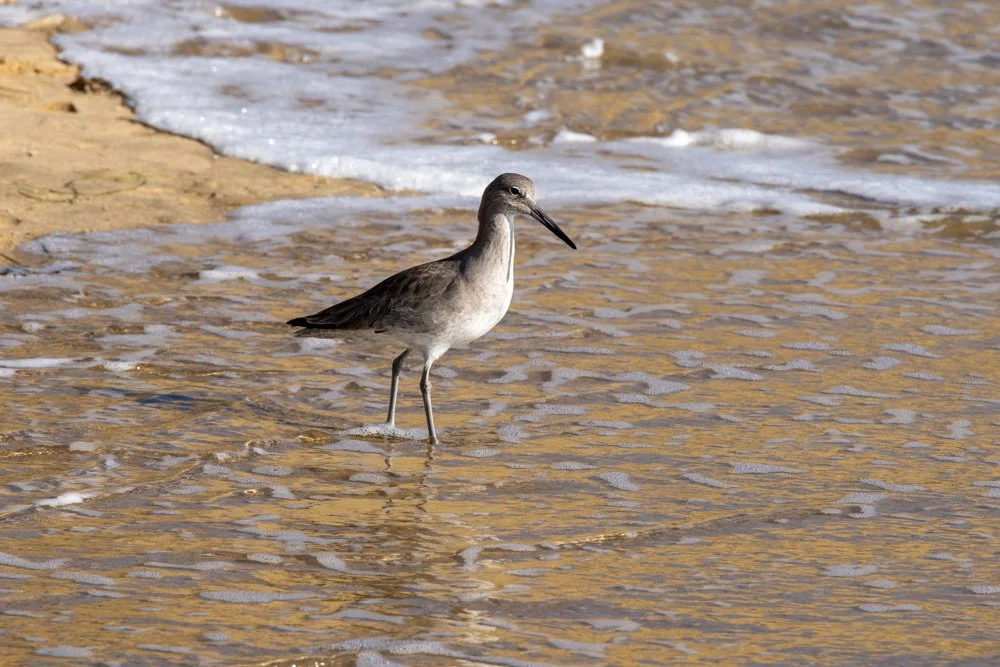 20231129-1205-California Trip-WEBSITE-50.jpg