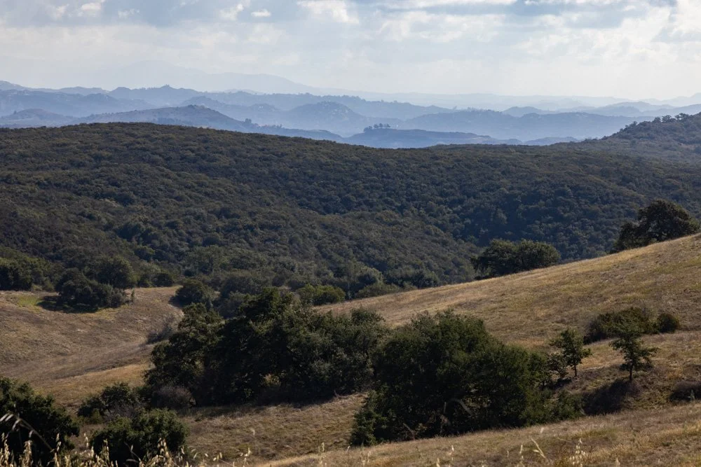 20231129-1205-California Trip-WEBSITE-27.jpg