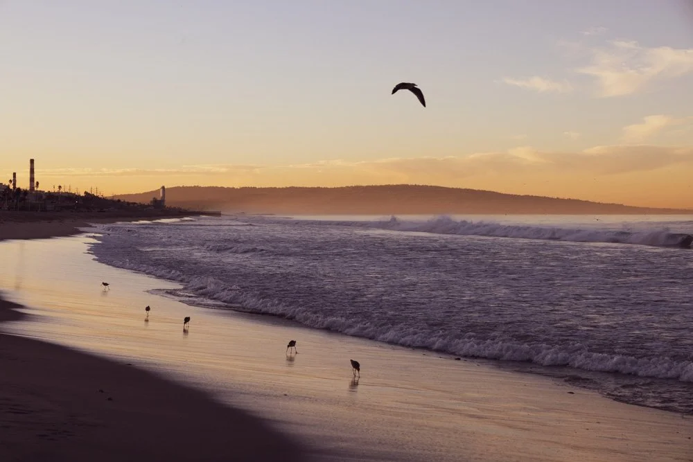 20231129-1205-California Trip-WEBSITE-61.jpg