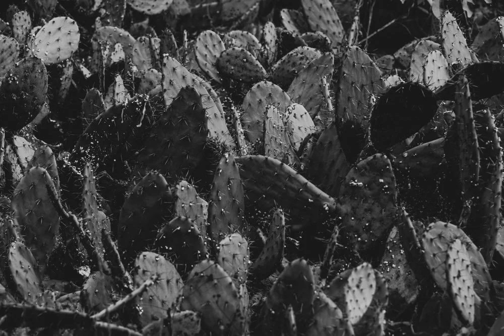 20231129-1205-California Trip-WEBSITE-16.jpg