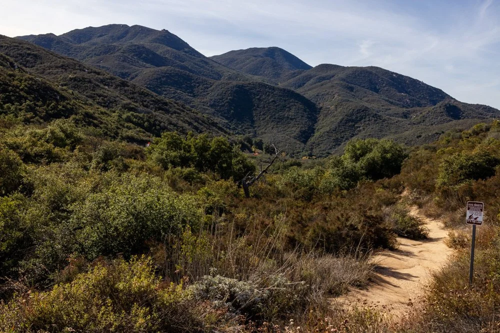 20231129-1205-California Trip-WEBSITE-42.jpg