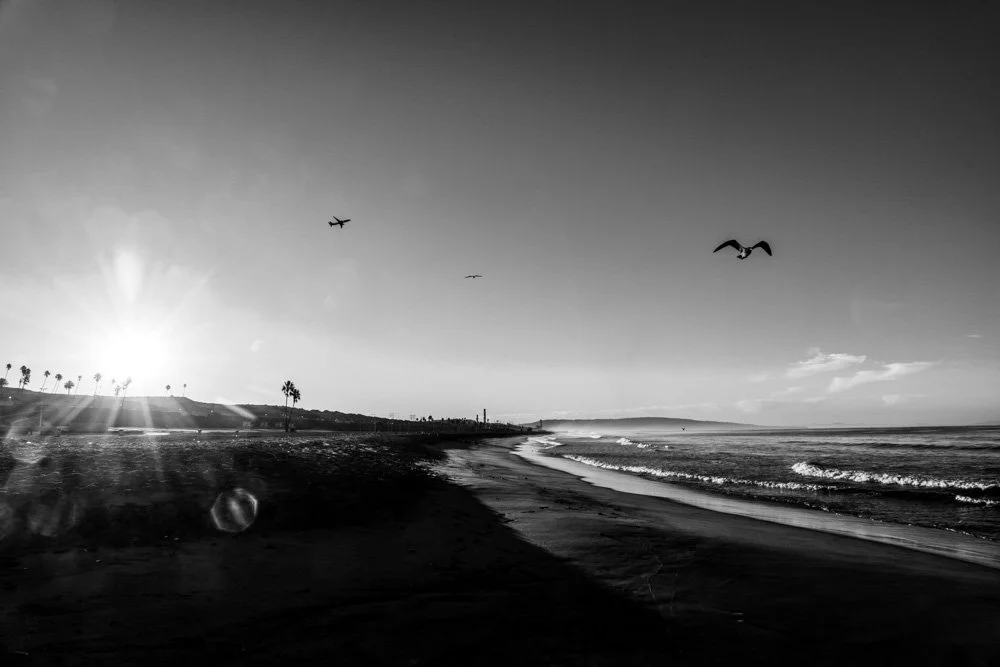 20231129-1205-California Trip-WEBSITE-64.jpg