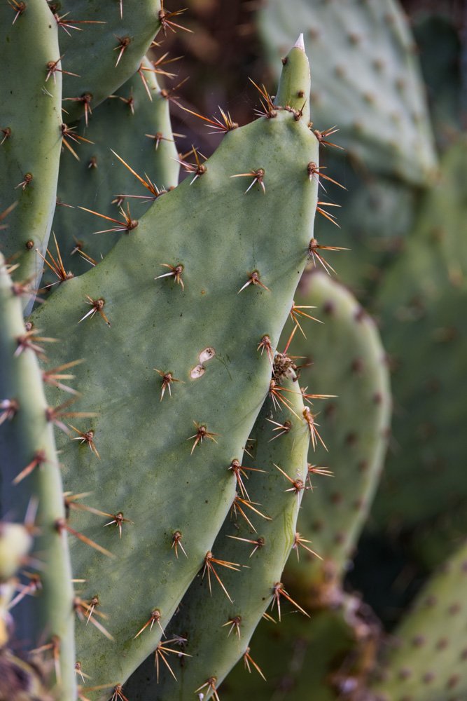 20231129-1205-California Trip-WEBSITE-15.jpg