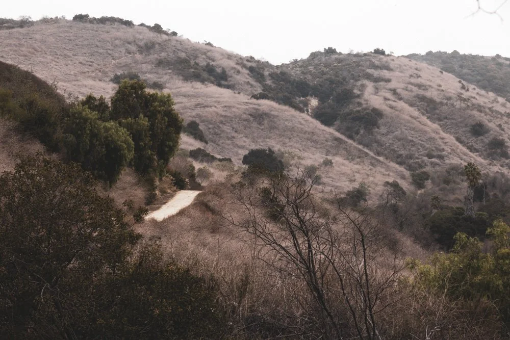 20231129-1205-California Trip-WEBSITE-13.jpg