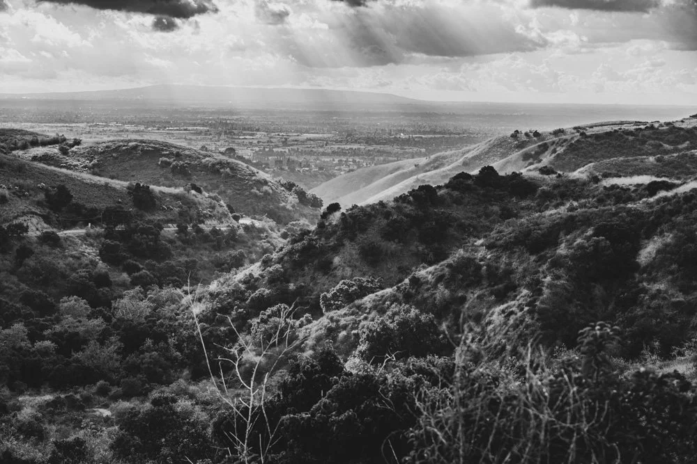 20231129-1205-California Trip-WEBSITE-26.jpg