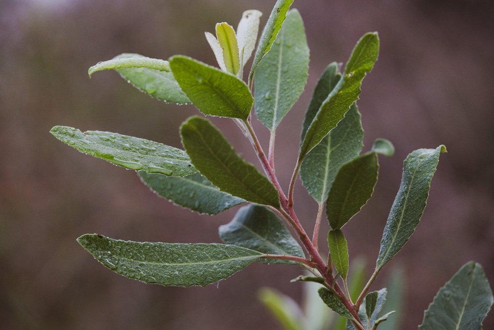 20231129-1205-California Trip-WEBSITE-2.jpg