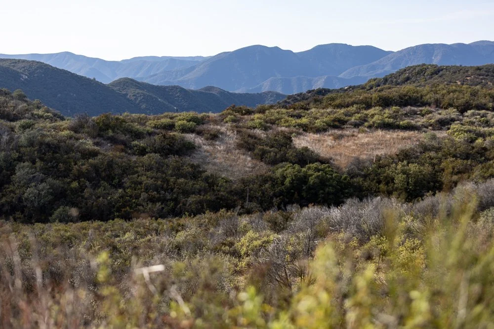 20231129-1205-California Trip-WEBSITE-34.jpg