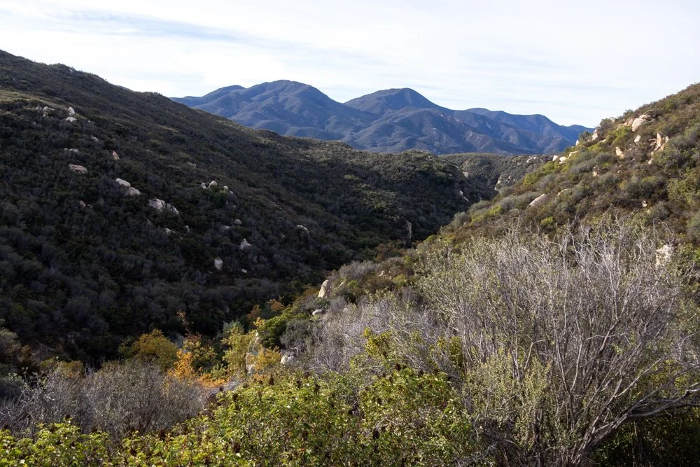 20231129-1205-California Trip-WEBSITE-39.jpg