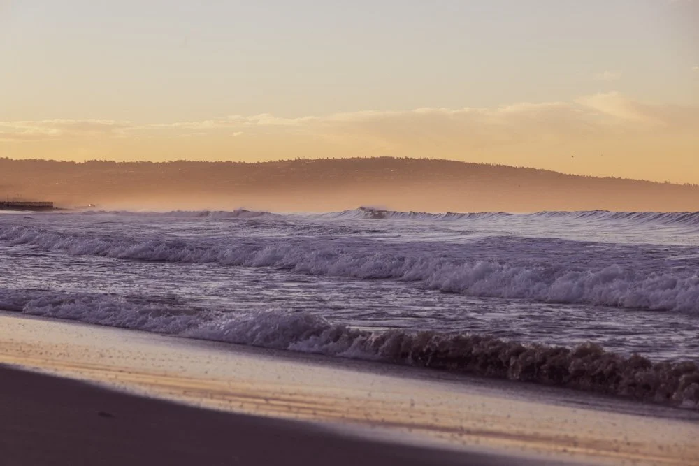 20231129-1205-California Trip-WEBSITE-62.jpg