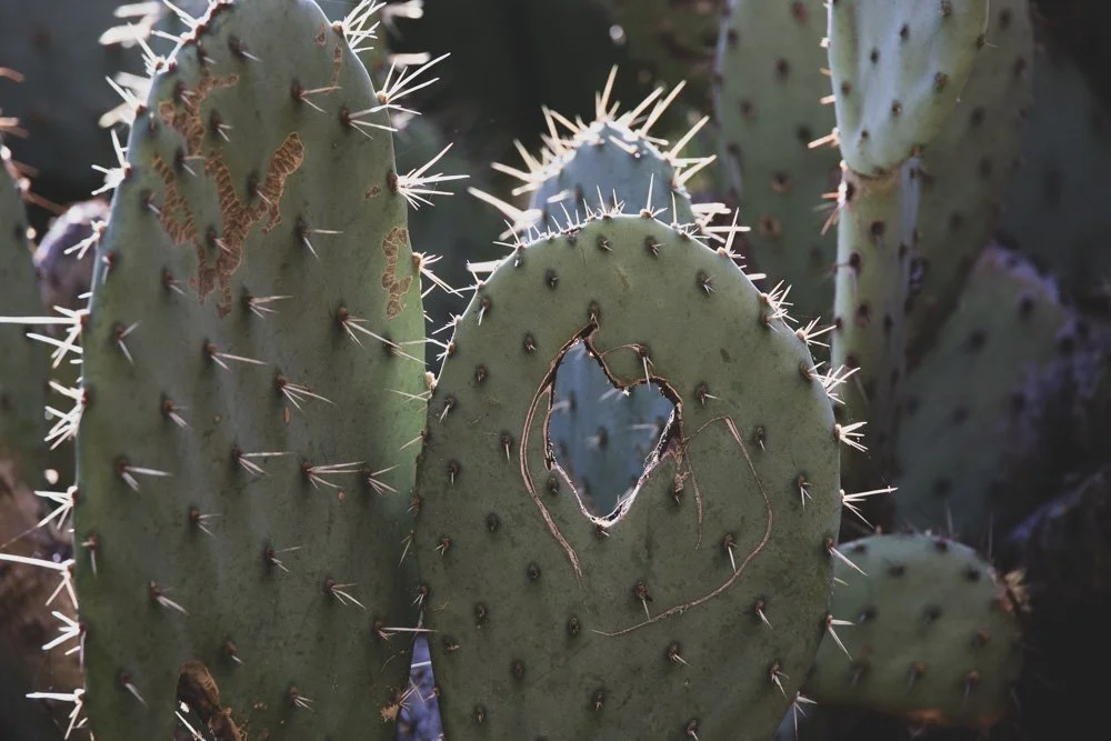 20231129-1205-California Trip-WEBSITE-23.jpg