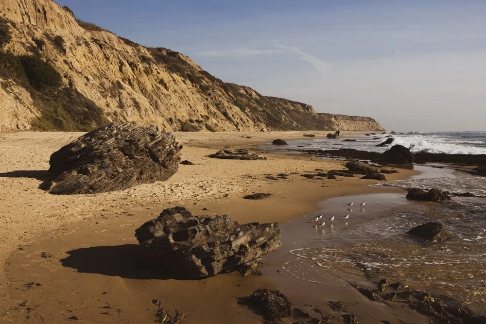 20231129-1205-California Trip-WEBSITE-52.jpg