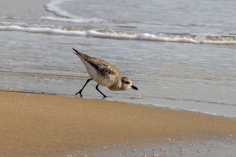 20231129-1205-California Trip-WEBSITE-44.jpg