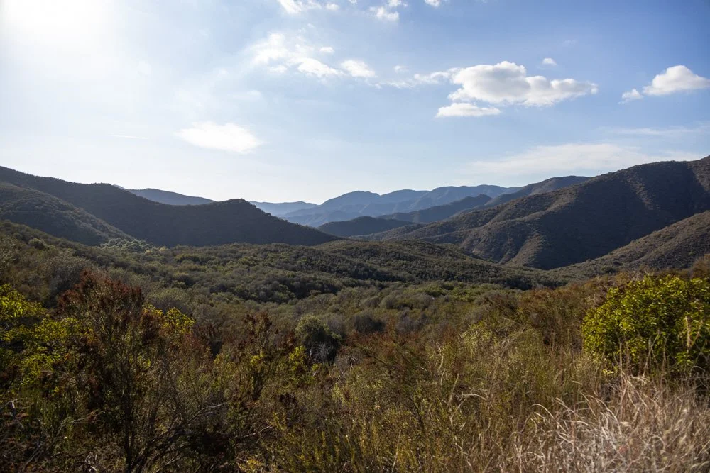 20231129-1205-California Trip-WEBSITE-36.jpg