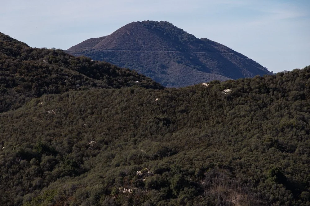 20231129-1205-California Trip-WEBSITE-41.jpg