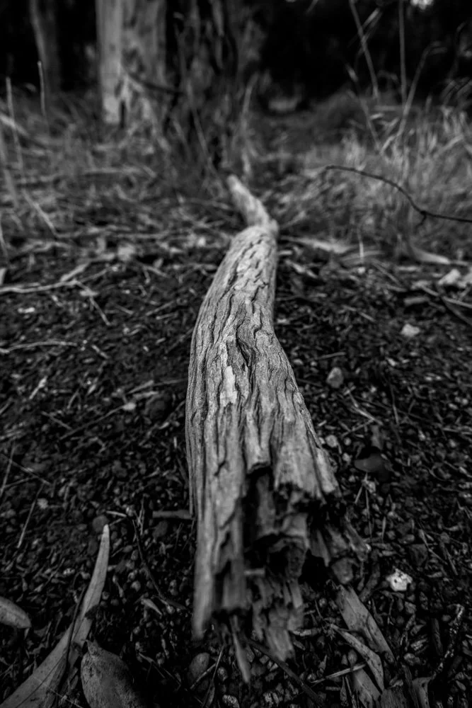 20231129-1205-California Trip-WEBSITE-7.jpg