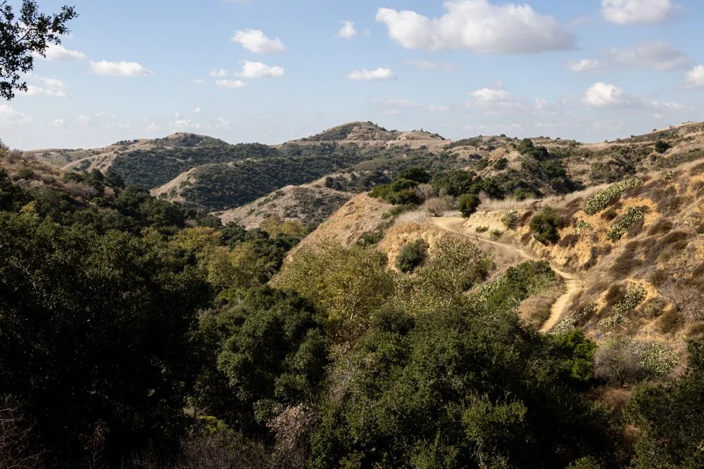 20231129-1205-California Trip-WEBSITE-21.jpg