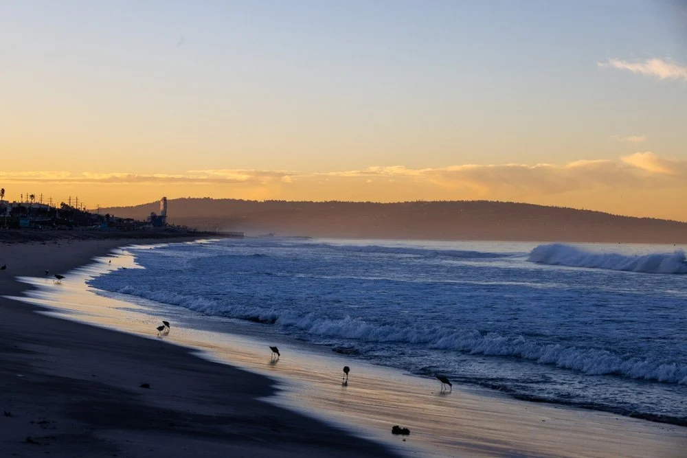 20231129-1205-California Trip-WEBSITE-59.jpg