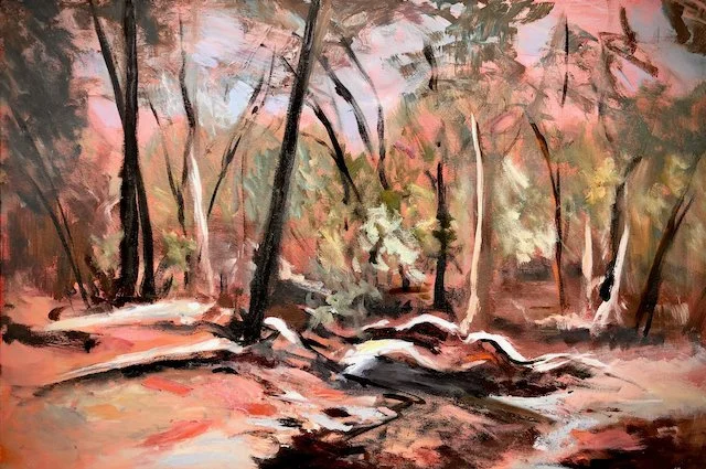 Rugged Riverbed