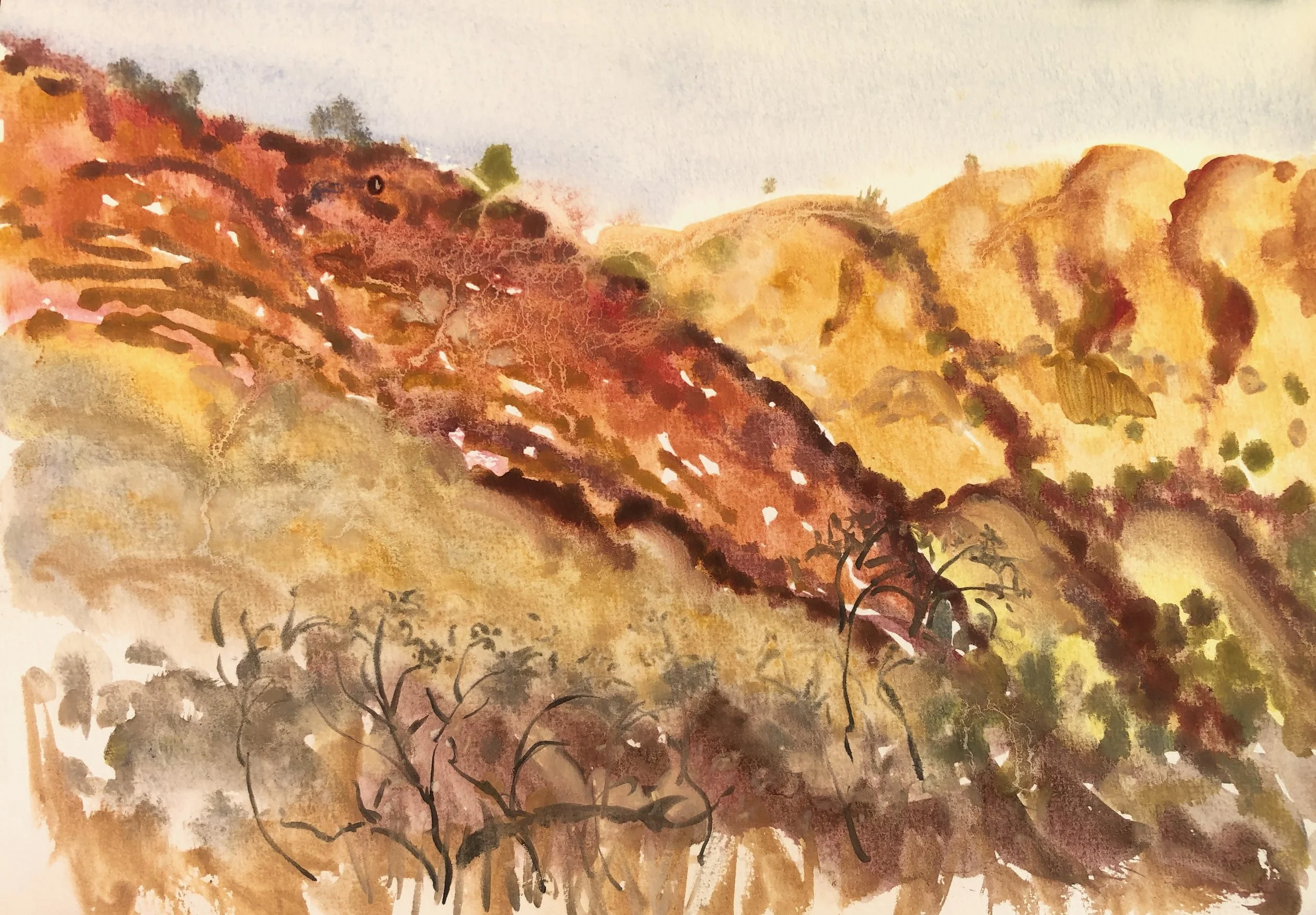 Watercolor painting of a hillside landscape with abstract trees and colorful foliage in warm tones of red, yellow, and brown.