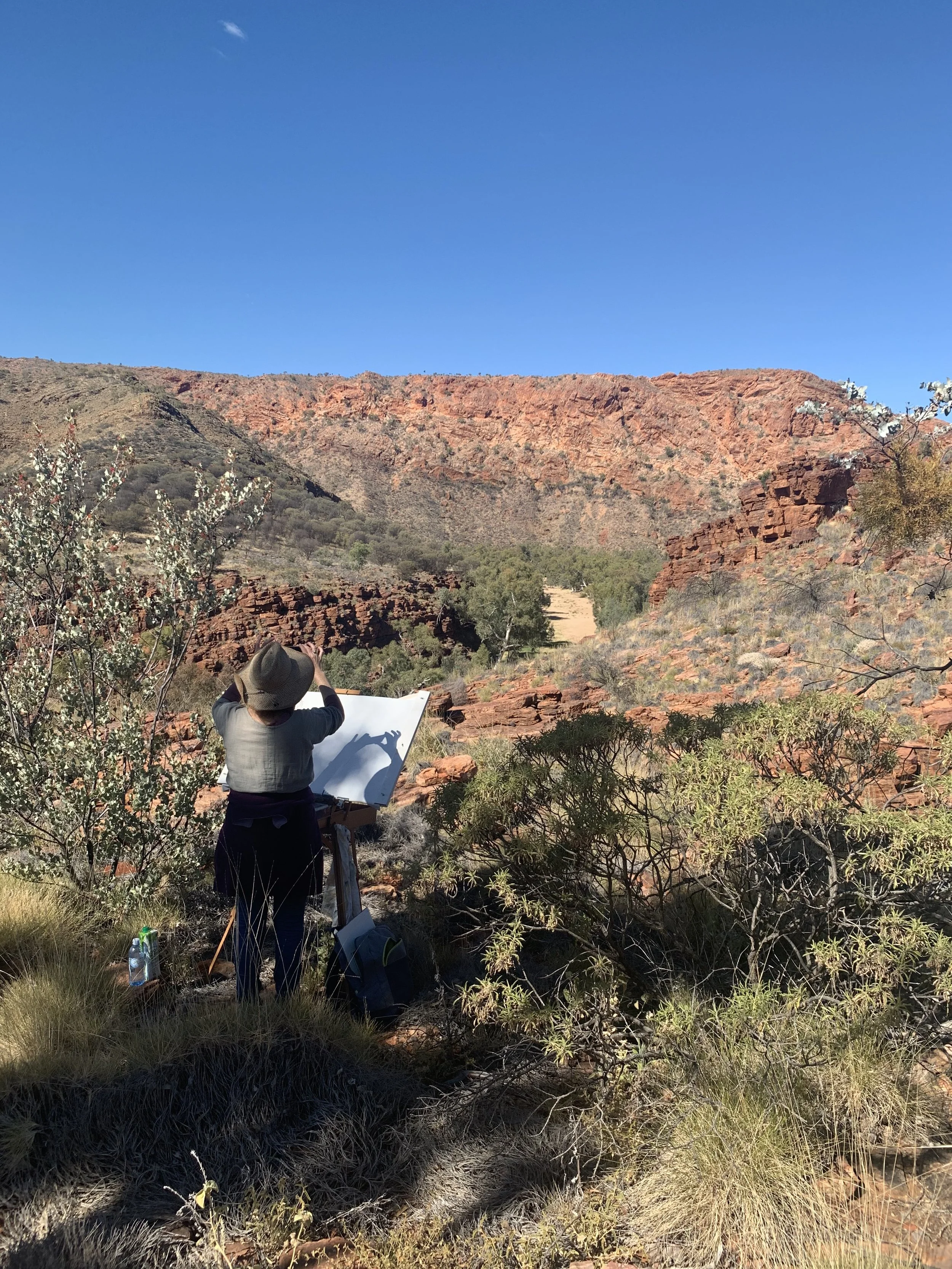 Jane painting outdoors in a desert landscape with red rocks and sparse vegetation in central Australia.