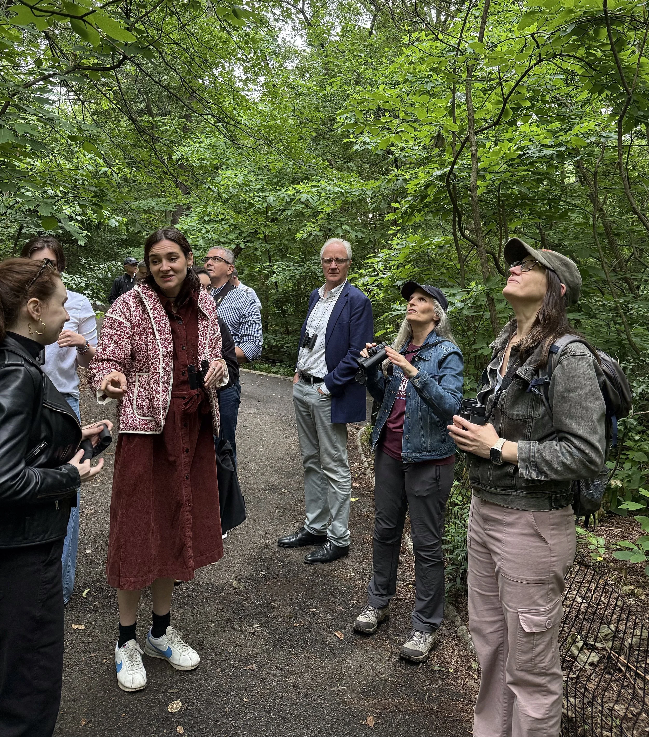 Birdwatching birding group tour