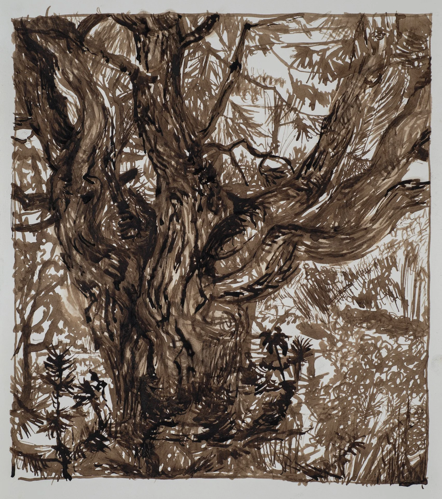 Tree #1, 2021. Walnut ink on paper. 39 x 36 cm / 15.5 x 14 in
