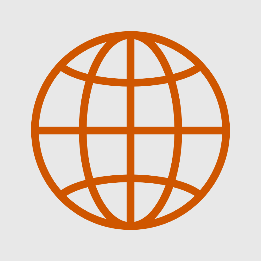 globe icon