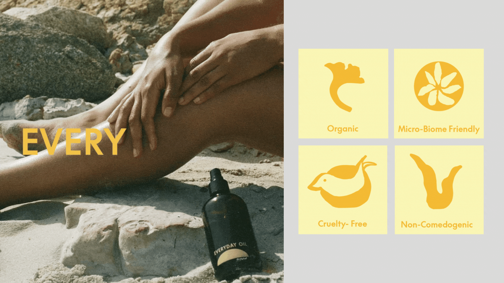 Untitled design (2).gif