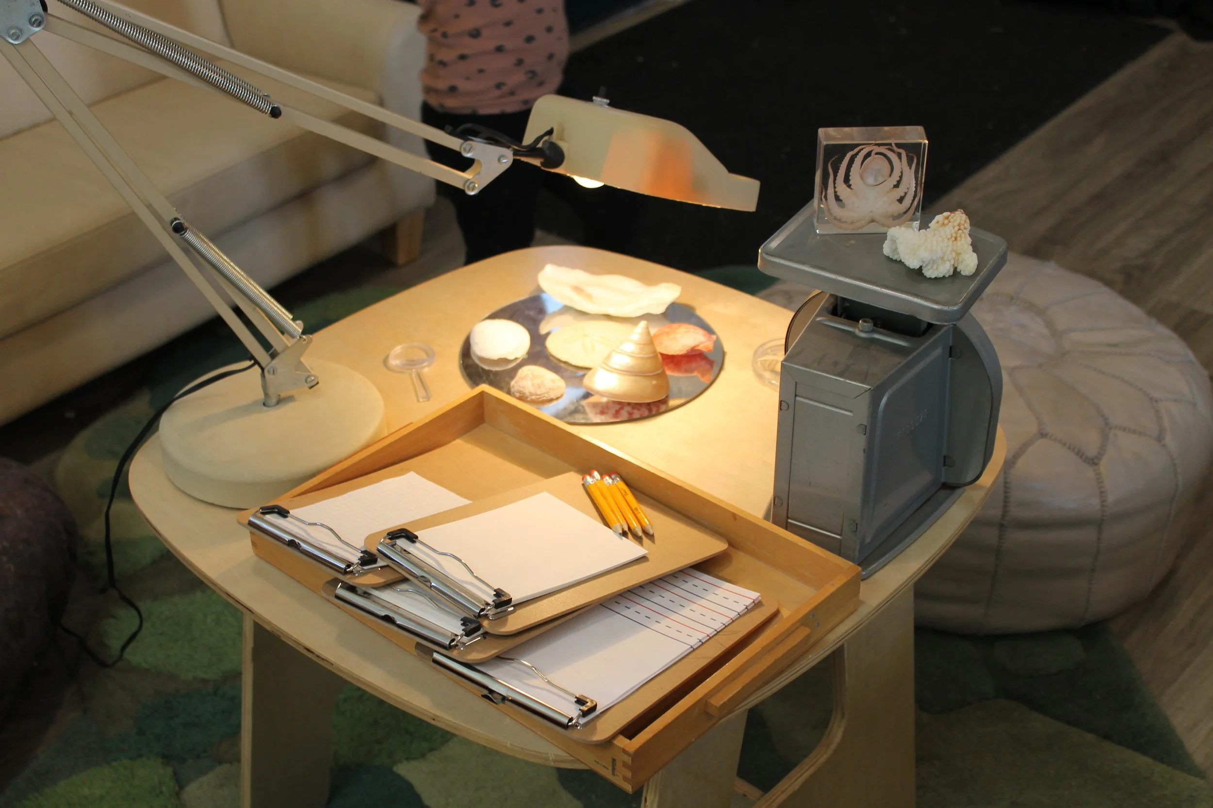 A table with various geological specimens, including shells and mineral samples, under a bright lamp in a laboratory setting, with a clipboard, pencils, and notepad nearby.