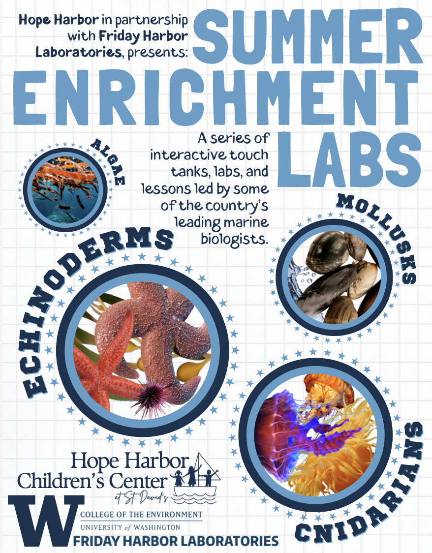 Summer Enrichment Lab!