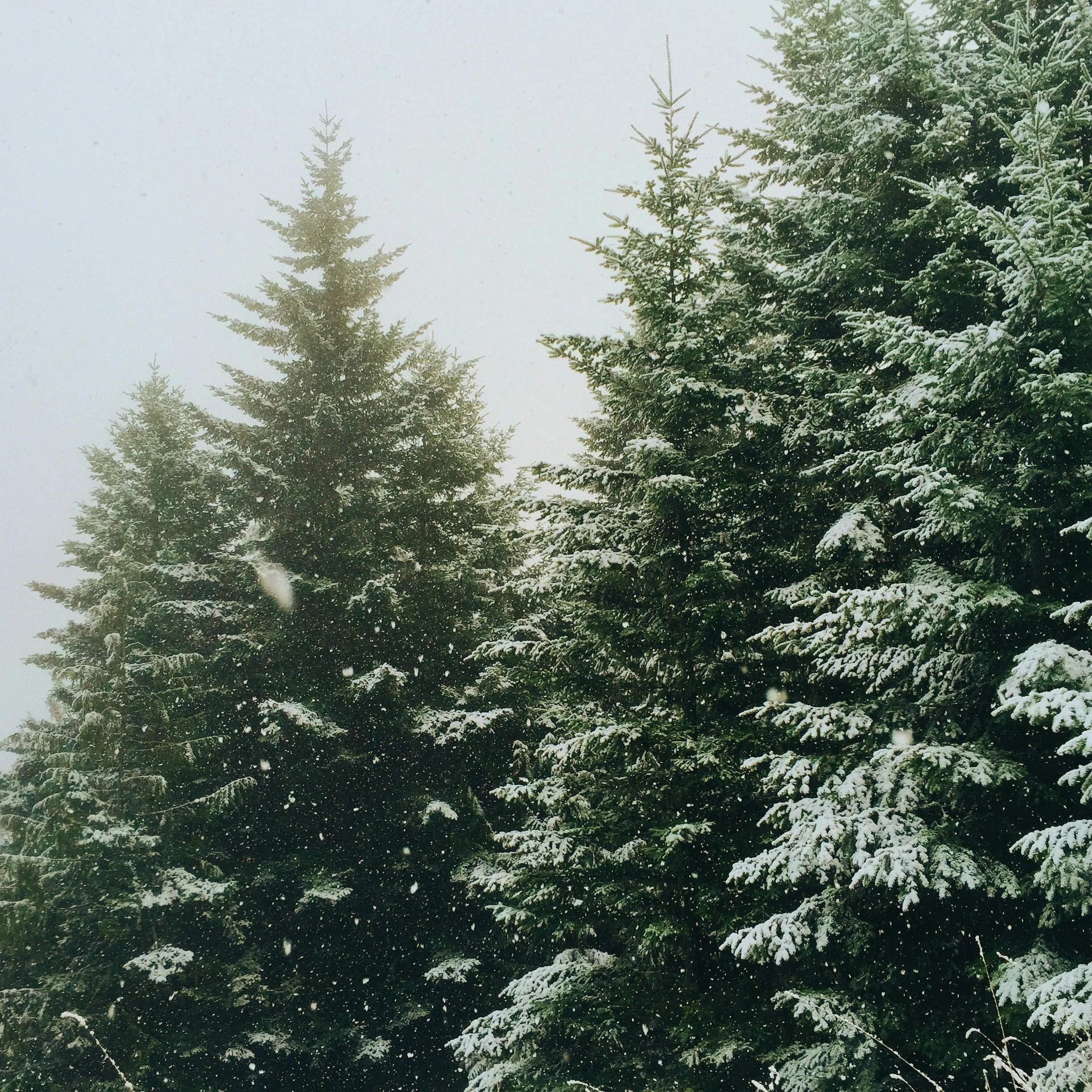 Closed for Mid-Winter Break