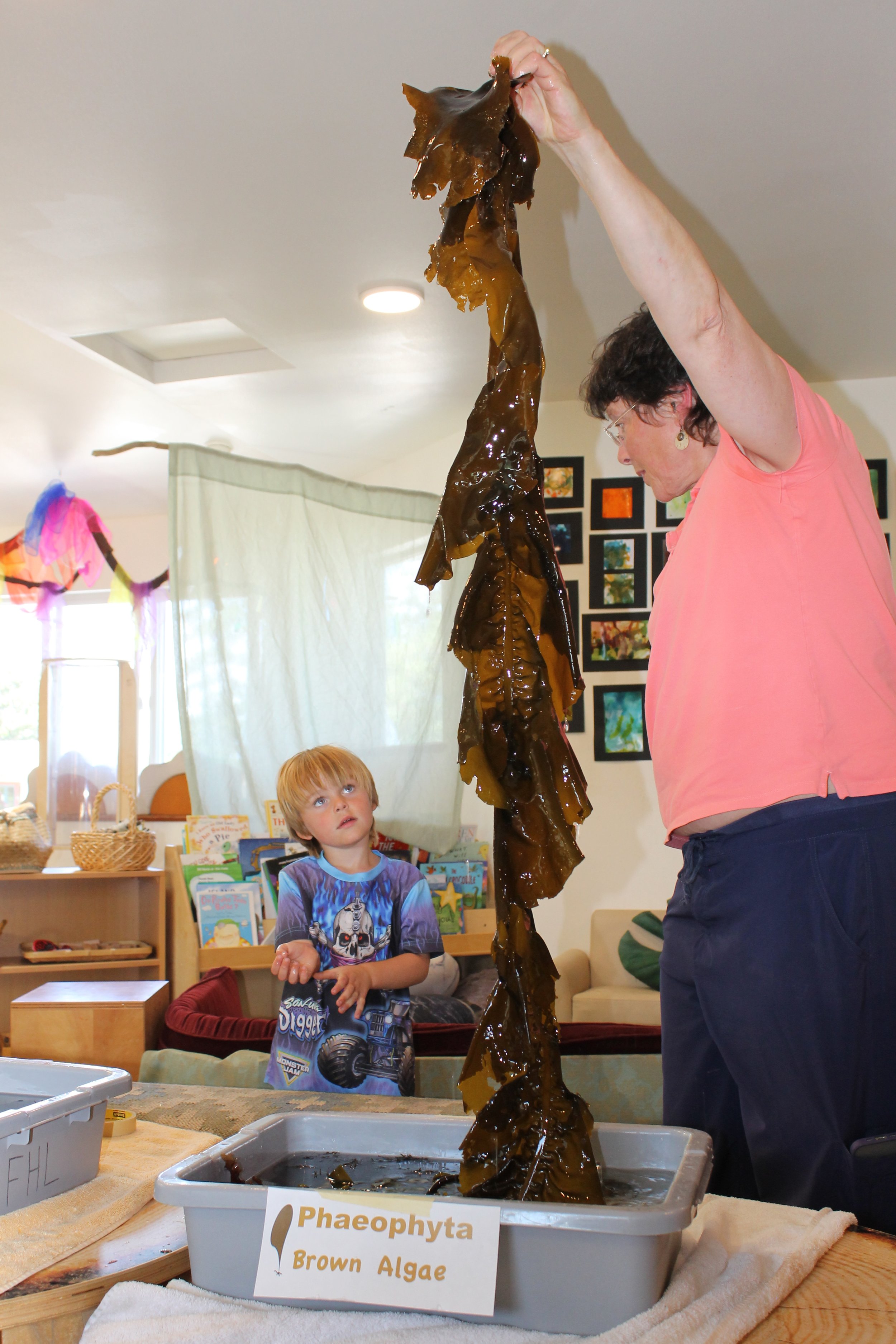 A woman holds up a strand of brown algae, labeled as Phaeophyta Brown Algae, in front of a young boy. The boy looks up at the algae, in a room with books, artwork, and colorful decorations, possibly at a classroom or educational event.
