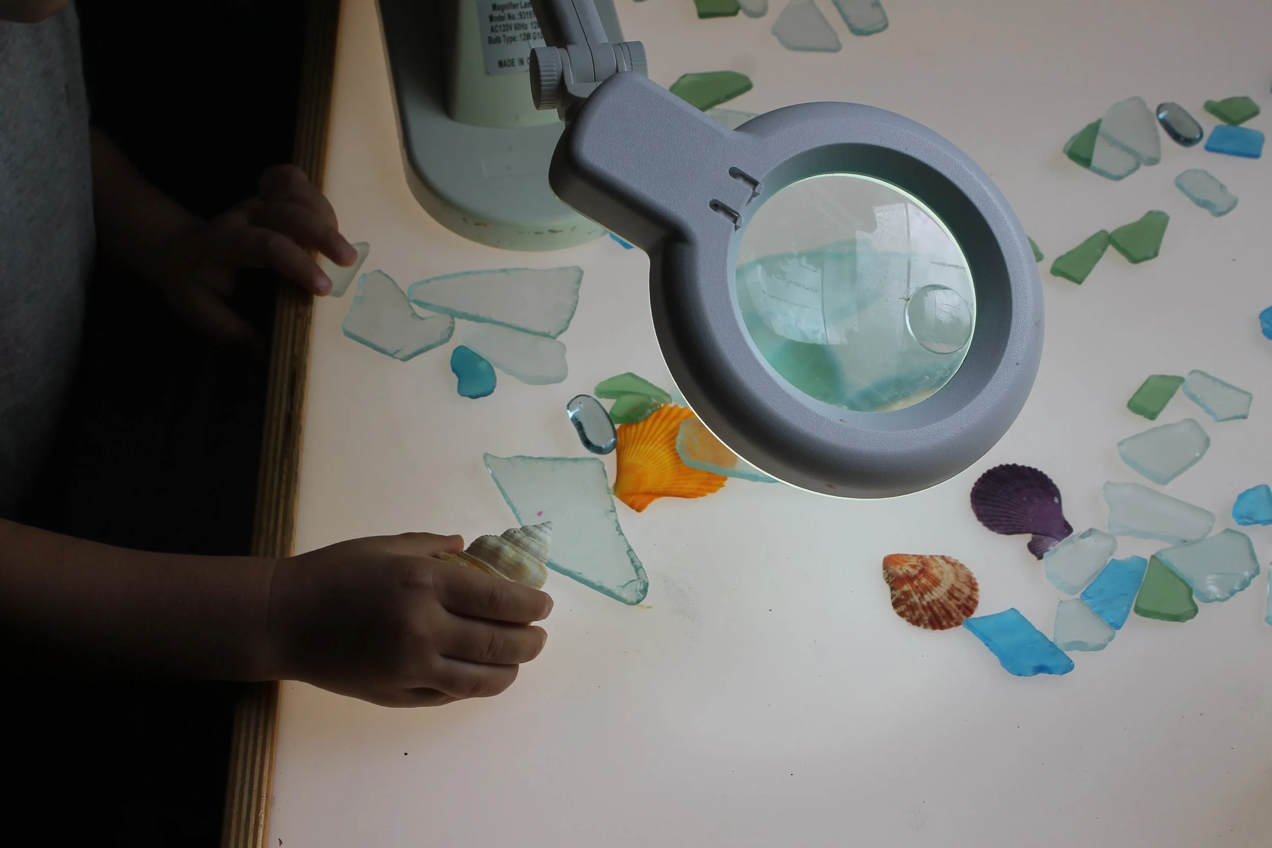 A person examining seashells and glass pieces with a magnifying glass on a light-colored surface.