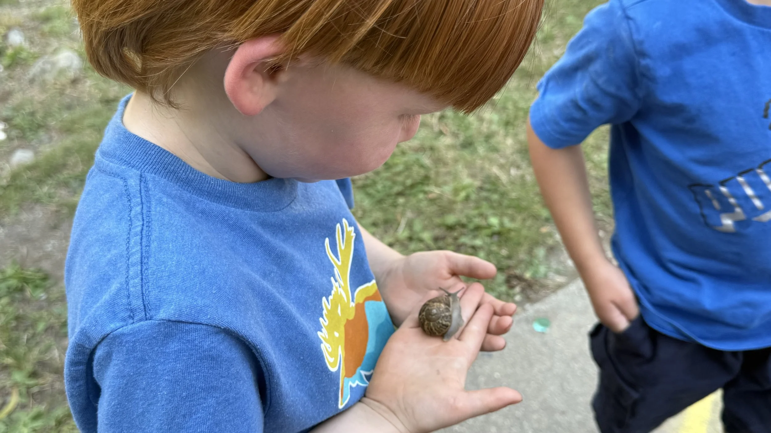 A young boy with red hair in a blue shirt holding a small snail in his hand, with another child in a blue shirt nearby outdoors on grass.
