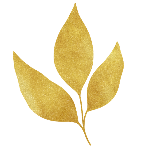 Antidote Apothecary brand element reflecting modern, refined naturopathy and clinical women’s health care in Melbourne.