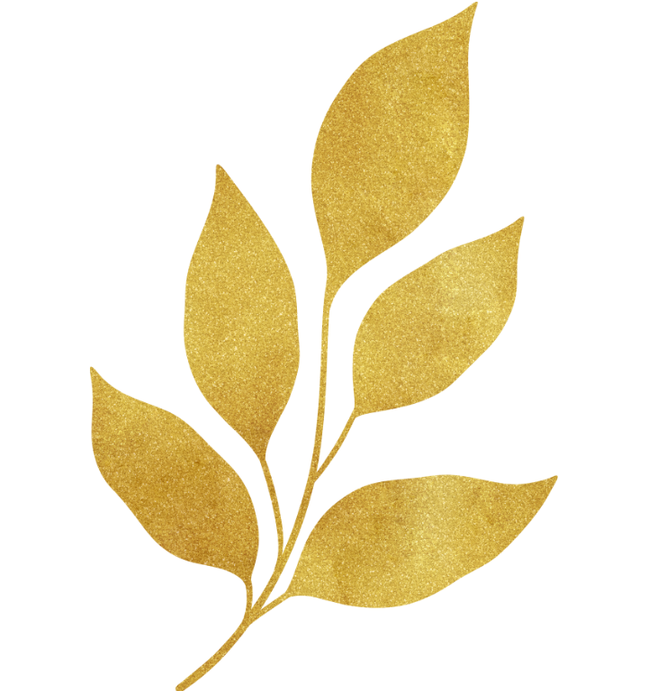 Brand detail imagery representing natural, refined wellness at Antidote Apothecary, a modern naturopathy clinic in Melbourne.