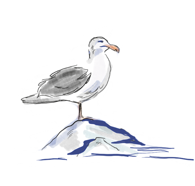 Lido Marina Village Map