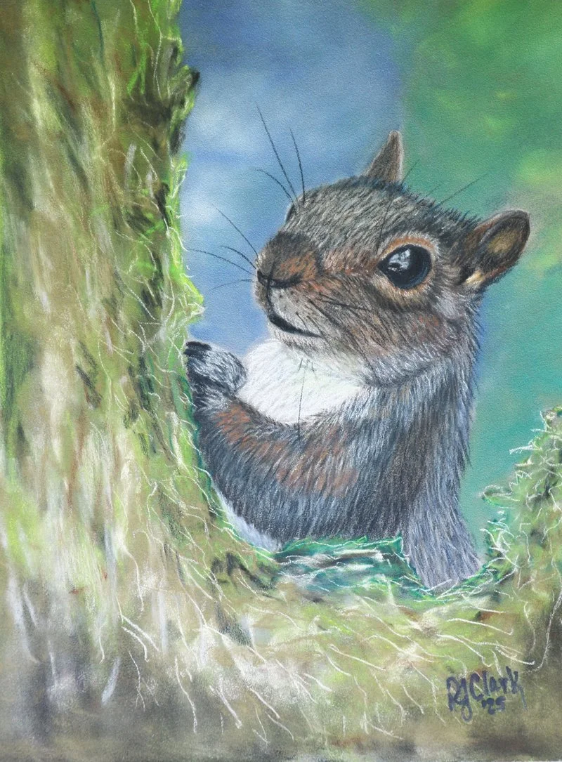 Squirrel pastels.jpg