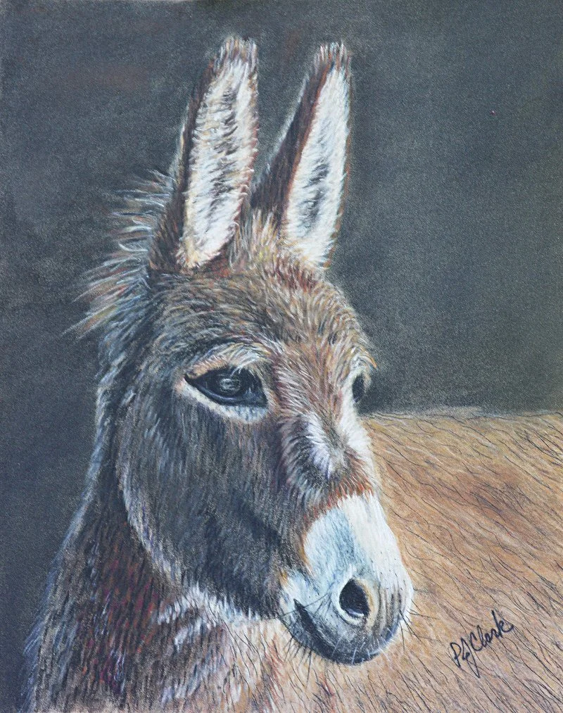 Donkey in pastels.jpg