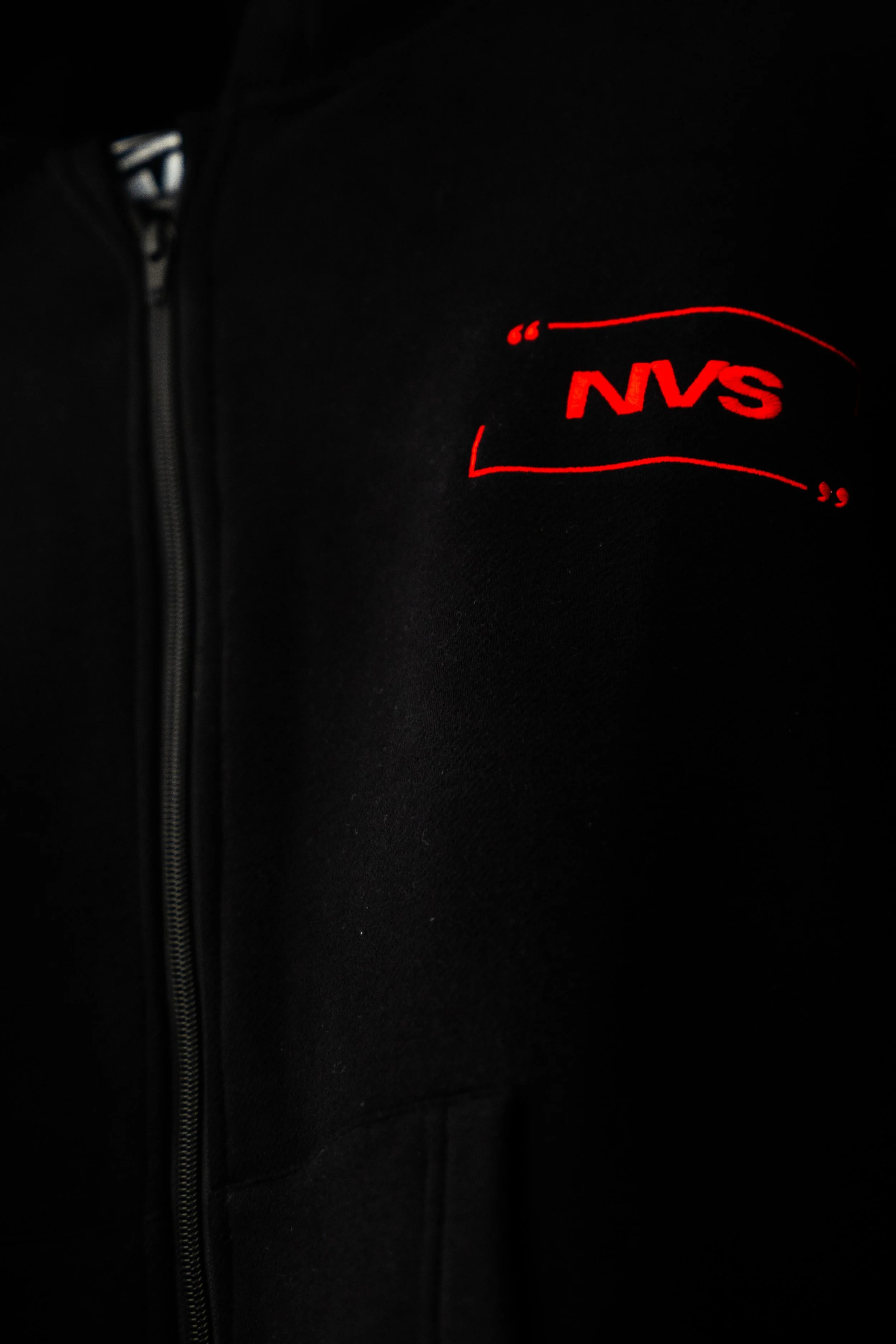 NVS-31.jpg
